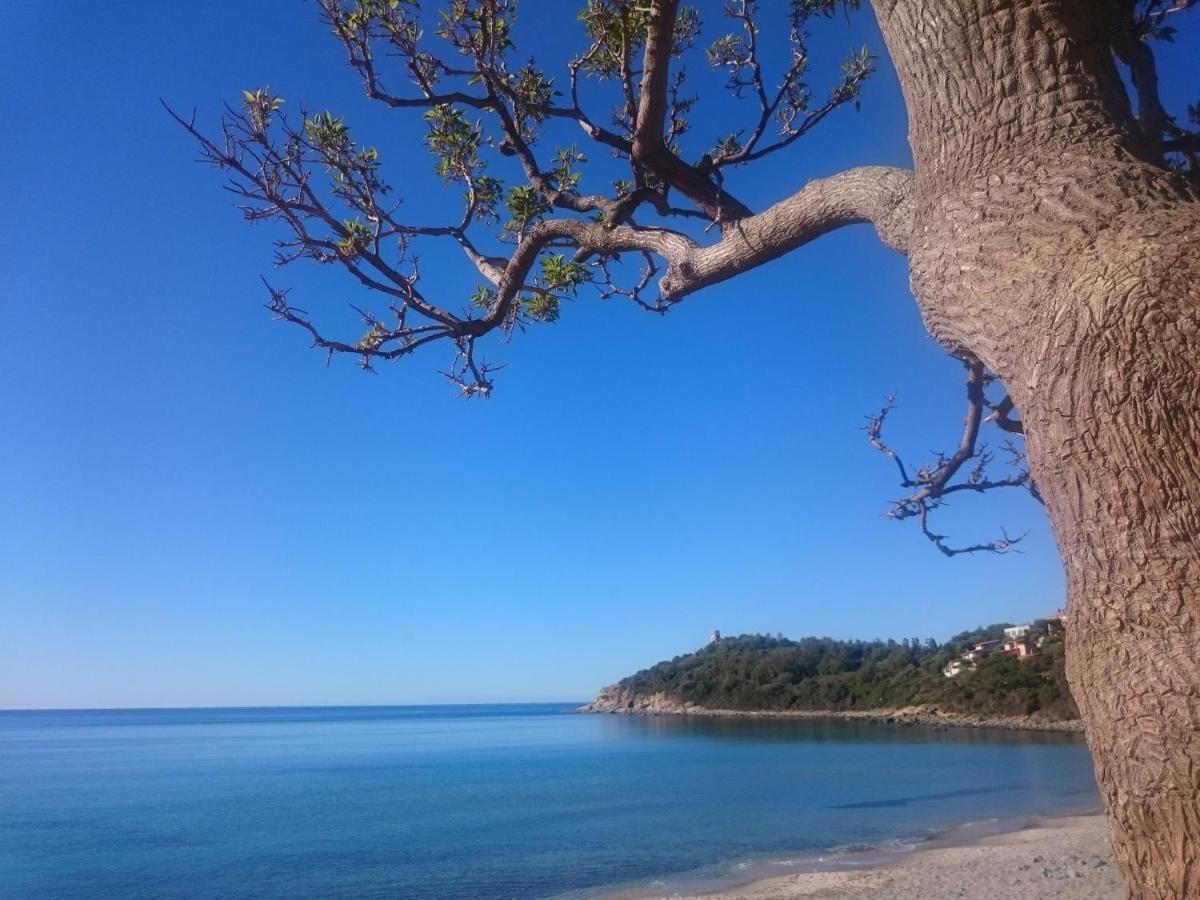 Un Po Di Relax A Pochi Passi Dal Mare! Daire Àrbatax Dış mekan fotoğraf