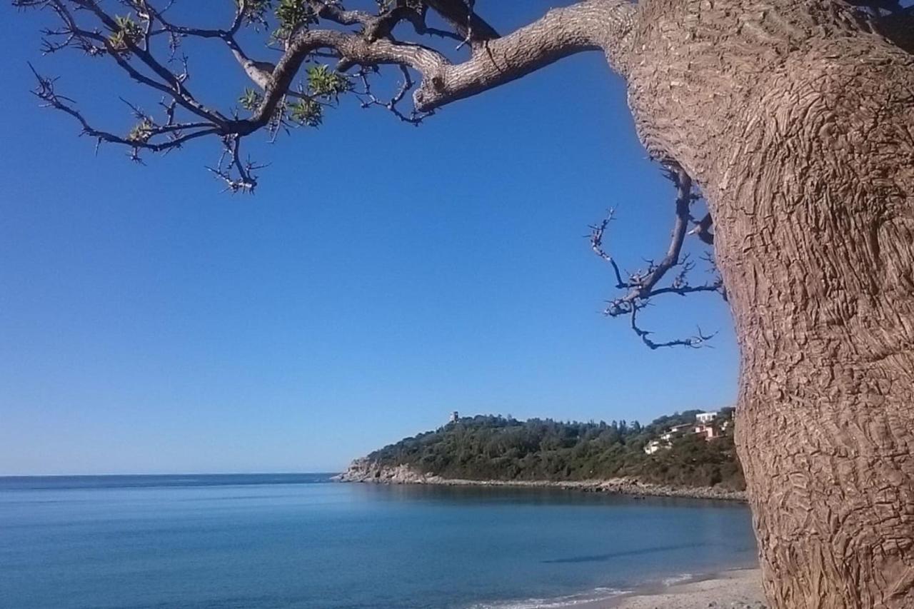 Un Po Di Relax A Pochi Passi Dal Mare! Daire Àrbatax Dış mekan fotoğraf
